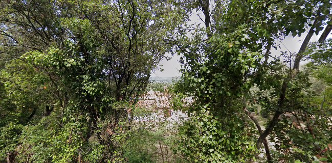 Mediterraneo Secret Garden