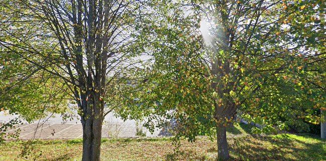 Pizzeria Lav - sala Ganjak